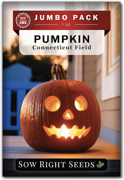 Sow Right Seeds - Bulk Connecticut Field Pumpkin Seeds for Planting - 1 Ounce, 140 Seeds - Non-GMO Heirloom Jack O’Lantern to Plant a Home Vegetable Garden - Grow Loads of Pumpkins