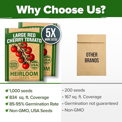 HOME GROWN Large Red Cherry Tomato Seeds 2 Pack (Solanum lycopersicum) - Approx.1000 Non-GMO Heirloom Tomato Seeds for Planting Vegetable Seeds for Homesteading, Sustainable Living, and Home Gardening