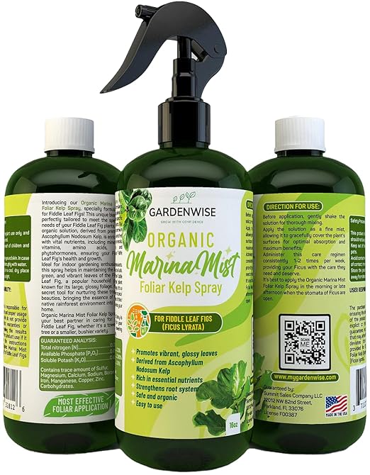 Organic Marina Mist Foliar Spray for Fiddle Leaf Fig and Other Ficus Trees | Micro Nutrients for Vital Health | Gentle Formula | Liquid Plant Food | Quick Results | Ready to Use (16 OZ)