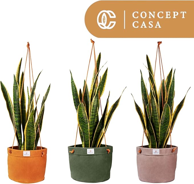 Waxed Canvas Handmade Hanging Planter for Indoor/Outdoor Plants, Hanging Basket Plant Holder Forest Green with Hook