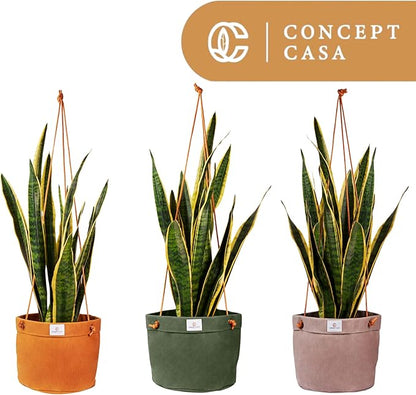 Waxed Canvas Handmade Hanging Planter for Indoor/Outdoor Plants, Hanging Basket Plant Holder Forest Green with Hook