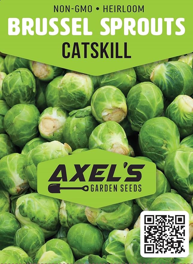 Catskill Brussel Sprout Seeds for Planting – Heirloom Non-GMO Brussel Sprout Seed Packets with Instructions to Plant & Grow for Home Outdoor Vegetable Garden – 5 Packets