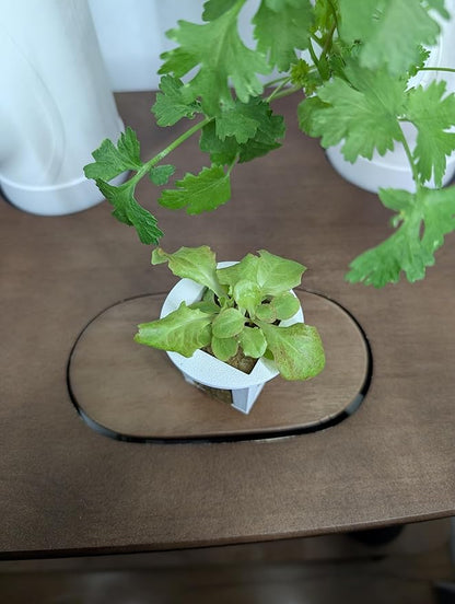 Grow Cubes for Hydroponic System/Grow Cubes Compatible with Gardyn (Seed Starter Nursery + w/Rockwool)