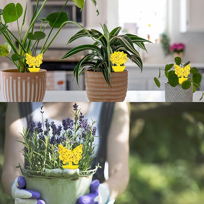 96 Pack Fruit Fly Trap for Indoors, Fungus Gnat Killer Indoor Sticky Traps for Mosquito, Bug Insect Catcher Killer for Houseplant