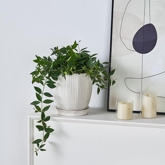 ADN Ceramic Planter, 6 Inch Plant Pots for Plants Modern Decor Indoor Flower Pot with Saucer and Drainage Hole, White