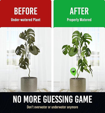 GROWIT Soil Moisture Meter for Plants - Plant Moisture Meter for House Plants | Hydrometer for Plants | Plant Moisture Meter Houseplants | Water Tester for Plants | Farming Plants (Pack of 2)