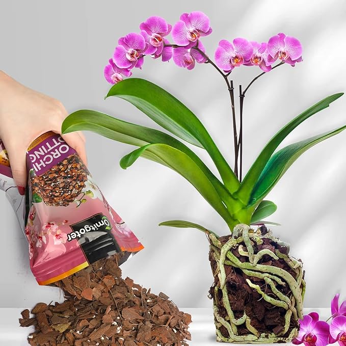 Organic Orchid Potting Mix 2qt, Mixture of Orchid Bark and Perlite, Specifically Formulated for Orchids