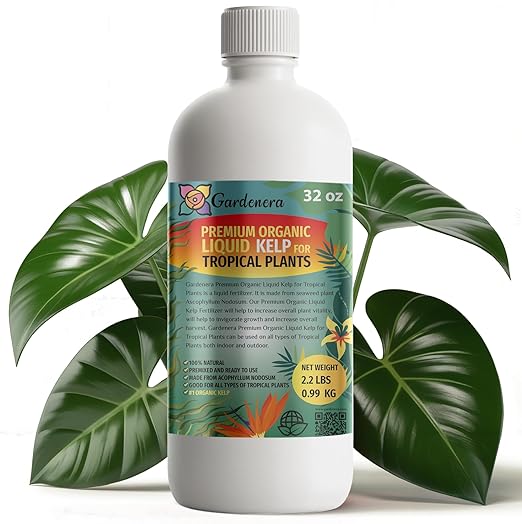 GARDENERA Premium Organic Seaweed & Kelp Superfood for Tropical Trees Plants - 32 oz - Liquid Kelp Fertilizer Concentrate (Makes 180 Gallons)