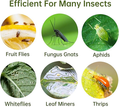 96 Pack Fruit Fly Trap for Indoors, Fungus Gnat Killer Indoor Sticky Traps for Mosquito, Bug Insect Catcher Killer for Houseplant