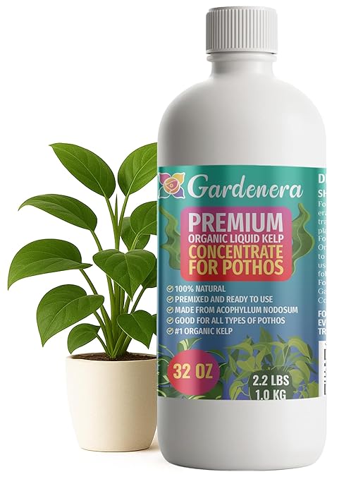 GARDENERA Premium Organic Seaweed & Kelp Superfood for POTHOS Plants - 32 oz - Liquid Kelp Fertilizer Concentrate (Makes 180 Gallons)