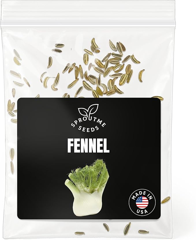 Fall & Winter Fennel Seeds for Indoor & Outdoor Planting – 150+ Non-GMO Heirloom USA-Grown Sweet Anise-Flavored Culinary Herb with High Germination (Foeniculum vulgare)