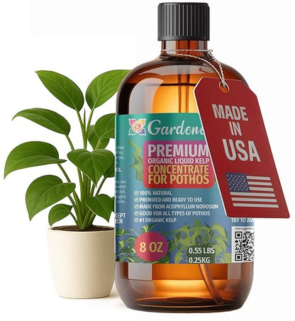 GARDENERA Premium Organic Seaweed & Kelp Superfood for POTHOS Plants - 8 oz - Liquid Kelp Fertilizer Concentrate (Makes 45 Gallons)