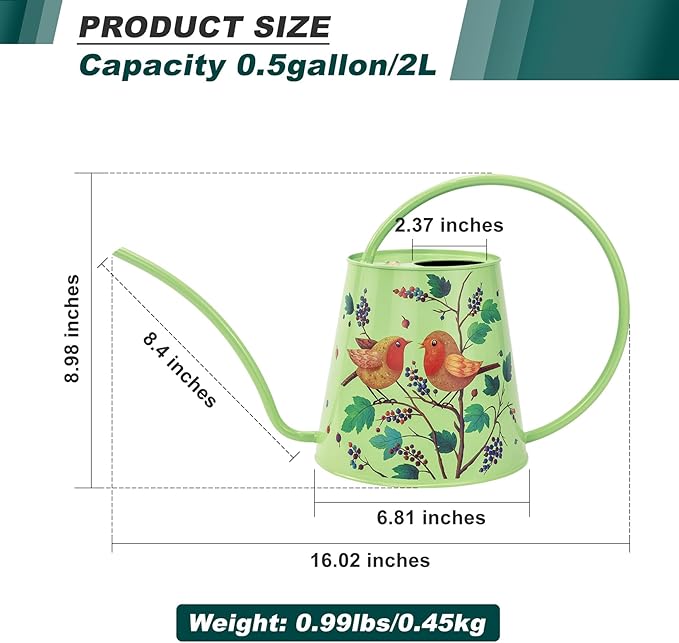 Berry&Bird House Plants Watering Can - Indoor & Outdoor 1/2 Gallon Stainless Steel Water Can with Long Spout Garden Decoration for Flower Bonsai Succulent Gardening Large Watwer Bottle(2L/Robin)