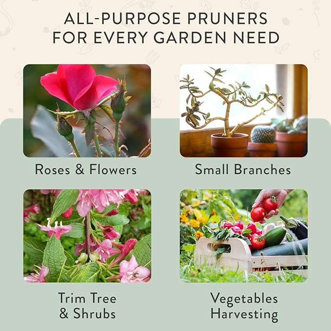 Modern Sprout Hand Pruners - Lightweight Pruning Shears W/Easy Lock- Gardening Scissors - Bypass Sharp Carbon Steel Blade - Rust Resistant - Garden Tools - Reusable Holster - Sage