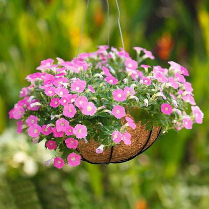 Halatool 2 PCS 10 Inch Round Coco Liners Hanging Basket 100% Natural Replacement Coconut Fiber Liner for Garden Flower Pot Vegetables Herbs