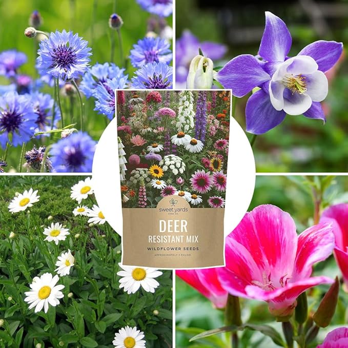 Deer Resistant Wildflower Seed Mixture - Bulk 1 Pound Bag - Over 240,000 Deer Tolerant Seeds - Open Pollinated and Non GMO