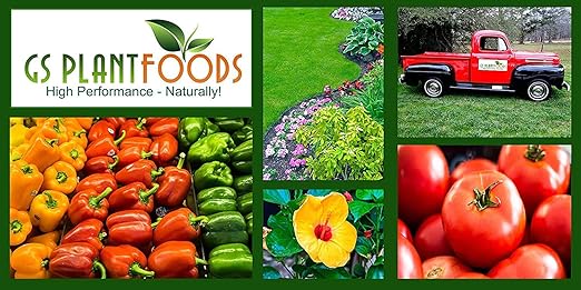 Soft Soil by GS Plant Foods- Liquid Aerator and Lawn Treatment(1 Quart) - Liquid Aerator for Any Grass Type, All Season - Great for Compact Soils, Standing Water, Poor Drainage