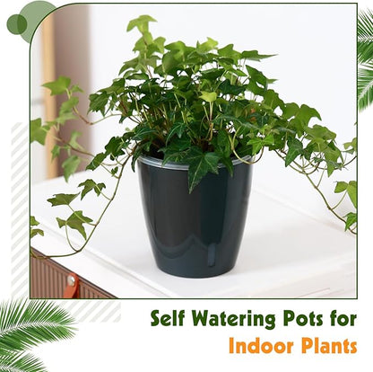 Self-Watering Pots for Indoor Plants, 6-Pack 6.7'' Self Watering Planter with Drainage Holes, Small African Violet Pots with Water Indicator, Clear Wick Pot, Black