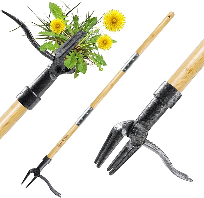 Weeder - Stand Up Weed Puller Tool with Long Handle - Real Bamboo & 4-Claw Steel Head Weeder Tool, Weeding Tool Weed Remove Tool for Lawn/Yard,Easily Remove Weeds Without Bending or Kneeling