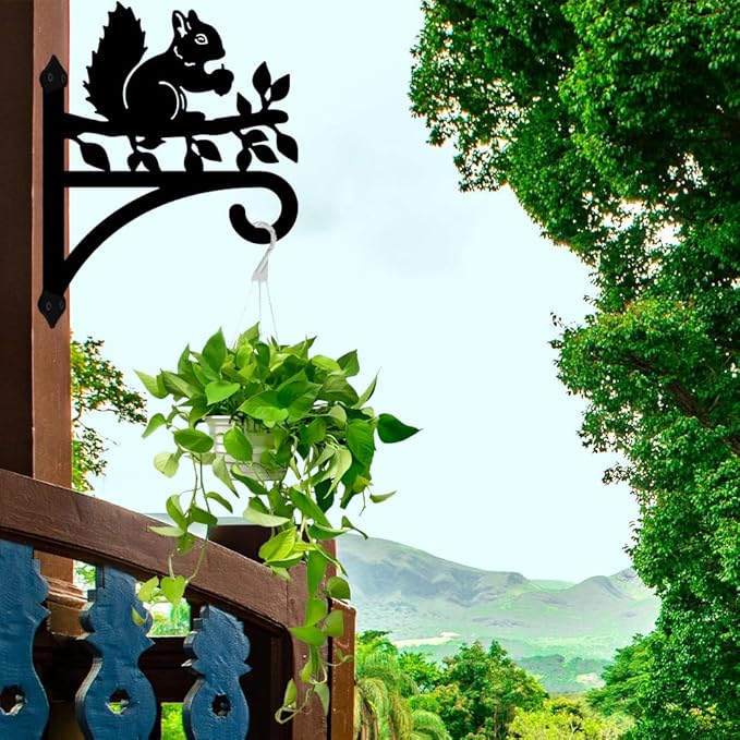 peacoblue Iron Plant Hangers Hooks for Outdoor Indoor Hanging Plants Flower Fern Pots Lantern Bird Feeder Wind Chimes, 12"x16" Weather Resistant Metal Wall Holder for Porch Garden Farmhouse(Squirrel)