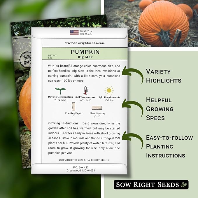 Sow Right Seeds - Big Max Pumpkin Seeds for Planting - Non-GMO Heirloom Packet with Instructions to Plant a Home Vegetable Garden - Decorative Autumn Variety for Carving - Giant Fast Growing (3)