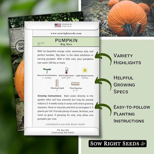 Sow Right Seeds - Big Max Pumpkin Seeds for Planting - Non-GMO Heirloom Packet with Instructions to Plant a Home Vegetable Garden - Decorative Autumn Variety for Carving - Giant Fast Growing (1)
