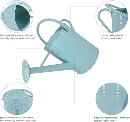 2 Gallon Metal Watering Can for Outdoor Indoor Garden Plants, Galvanized Watering Can with Removable Spout, Garden Watering Pot for Flowers, Plants & Lawns (Light Blue)