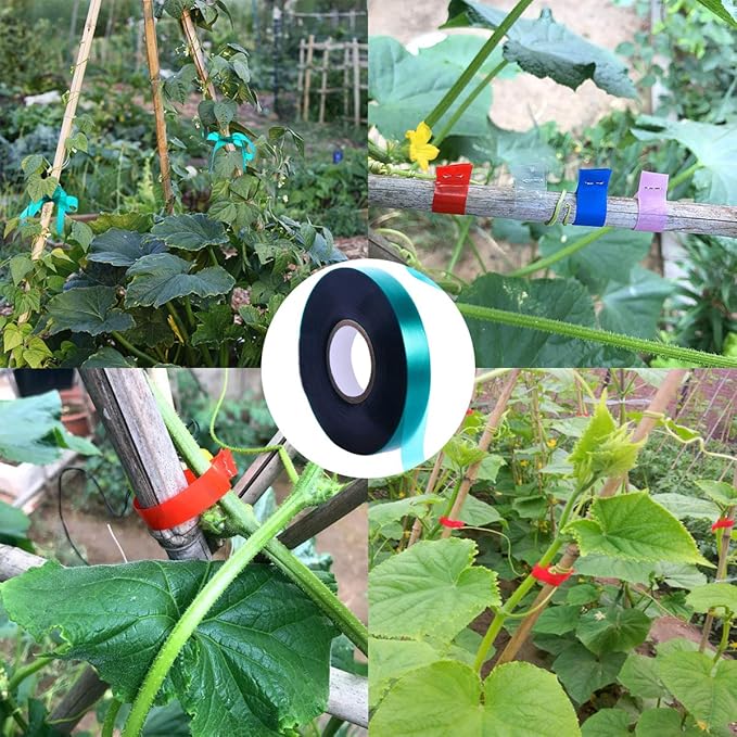 6 Rolls 150 Feet Stretch Tie Tape 0.5 Inch Garden Tie Tape Thick Plant Ribbon Garden Green Vinyl Stake for Indoor Outdoor Patio Plant Use