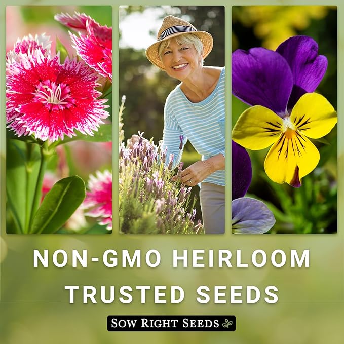 Sow Right Seeds - Zinnia Polar Bear Flower Seeds for Planting - Beautiful Flowers to Plant in Your Home Garden - Non-GMO Heirloom Packet - White Blooms Attract Pollinators - Cut and Come Again (4)