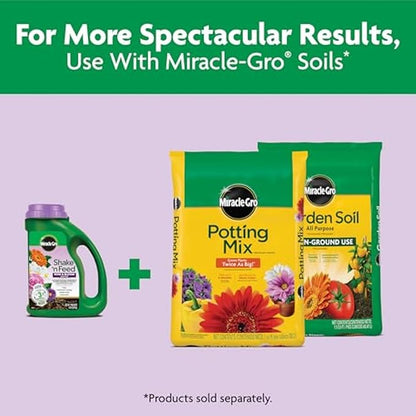 Miracle-Gro Shake 'N Feed Rose & Bloom Plant Food