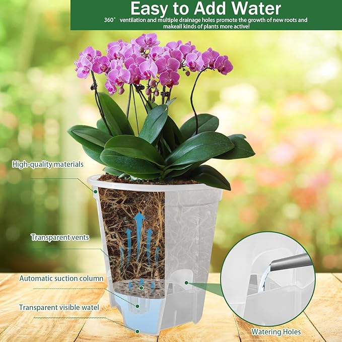 Cdd's Path 5-Pack 6 Inch Self Watering Pots Set with Holes for Indoor/Outdoor Plants,Planter Pot with Watering Hole/Reservoir and Air Pipes,Clear