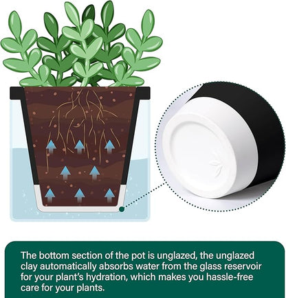 D'vine Dev 4 Inch Design Self Watering Planter for Indoor Plants, Black Terracotta Pot with Cylinder Glass Cup, Set of 4, 37-Z-A-3-F