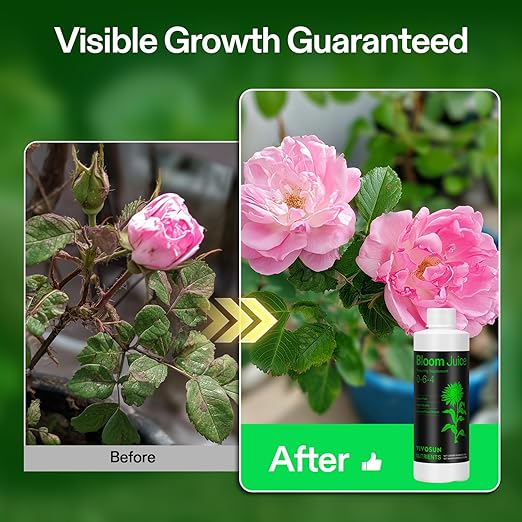 VIVOSUN Bloom Juice (0-6-4), Flowering Supplement Liquid Fertilizer for Flowering Stage, Concentrated Plant Food for All Flowering Plants, 8 Ounces