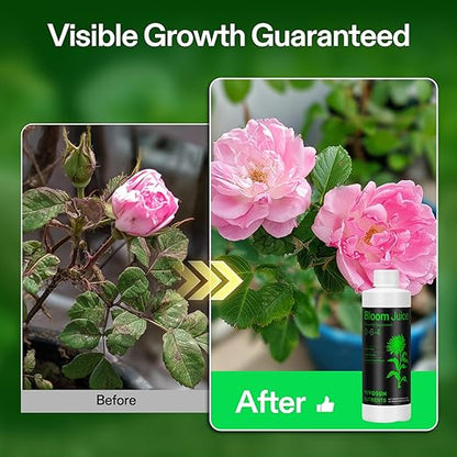 VIVOSUN Bloom Juice (0-6-4), Flowering Supplement Liquid Fertilizer for Flowering Stage, Concentrated Plant Food for All Flowering Plants, 8 Ounces