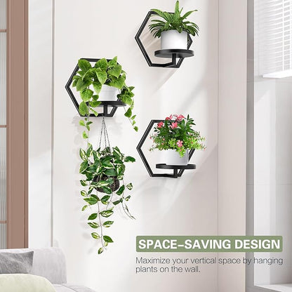 3 Packs Wall Planters for Indoor Plants, 7.9inch Metal Wall Plant Holder Hanger Wall Decor, Wall-Mounted Hanging Planters Window Plant Shelves Outdoor(Black)