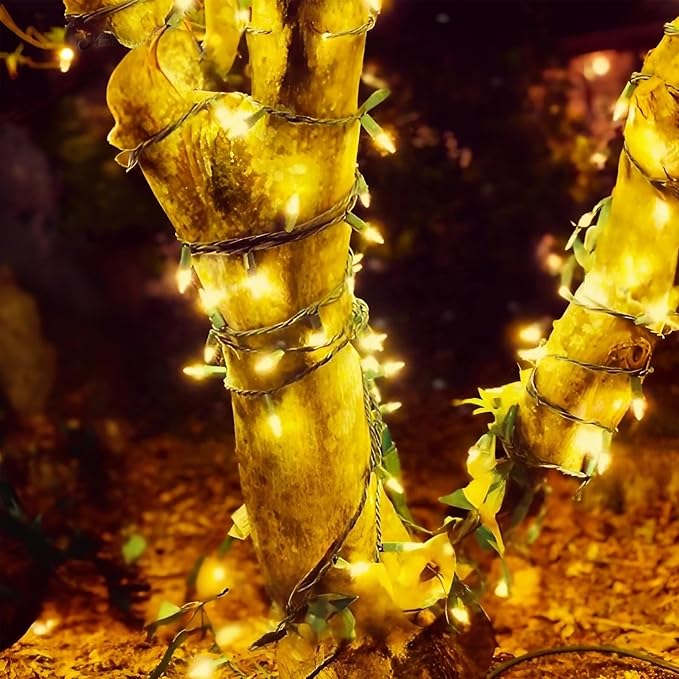 71 FT 140 LED Warm White Christmas Lights Outdoor- 2 Pack M5 LED Christmas Lights Outdoor Waterproof, Warm White Commercial Grade Green Wire, IP:65, UL(70 Counts 35.5ft Per String)