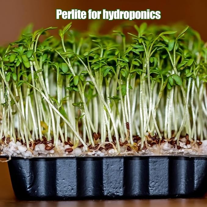 Horticultural Perlite for Plants 2qt, All Natural Horticultural Soil Additive Conditioner Mix, Improve Ventilation and Drainage, Enhance Soil Health and Root Growth