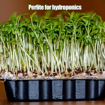 Horticultural Perlite for Plants 2qt, All Natural Horticultural Soil Additive Conditioner Mix, Improve Ventilation and Drainage, Enhance Soil Health and Root Growth