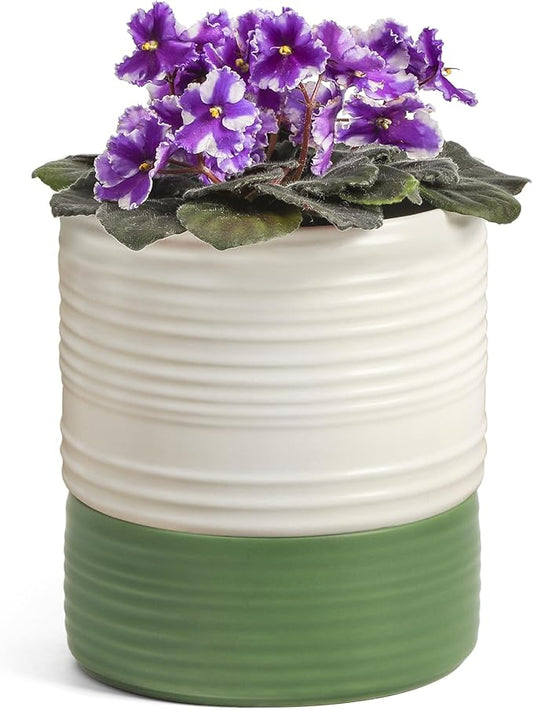 Self Watering Pots for Indoor Plants, 6 Inch Ceramic Self Watering Plant Pot, Planter Pot with Wick Rope and Drainage Hole for African Violet Succulent Herbs (White Matte)