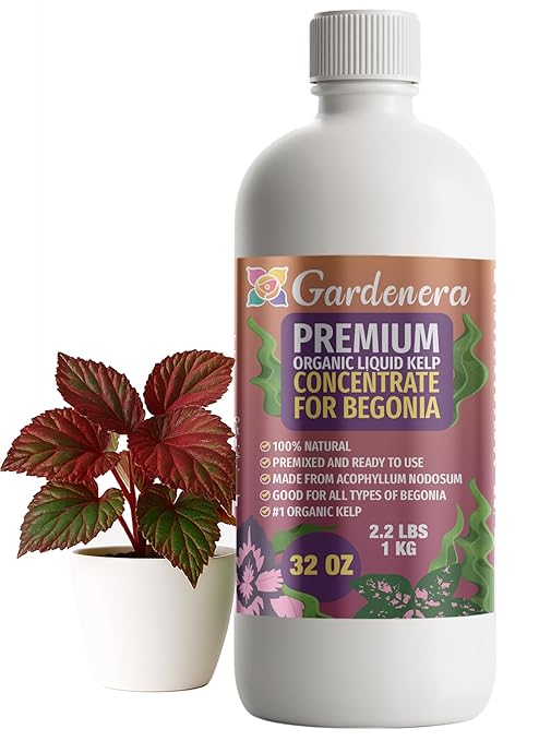 GARDENERA Premium Organic Seaweed & Kelp Superfood for Begonia Plants - 32 oz - Liquid Kelp Fertilizer Concentrate (Makes 180 Gallons)