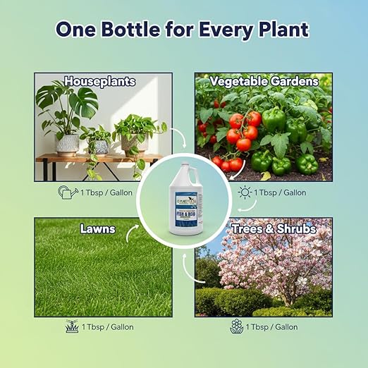 GS Plant Foods Liquid Fish & Kelp Fertilizer (1 Gallon) – Organic Material Review Institute Listed Natural Plant Food for Home Gardens, and Vegetables