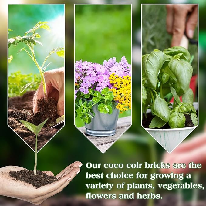 Halatool 3PCS Organic Coconut Coir Bricks Compressed Coco Coir Brick Nutrient Garden Soil with Low EC & pH Balance Premium Starting Soil Coconut Fiber Substrate for Plants Flowers Reptiles