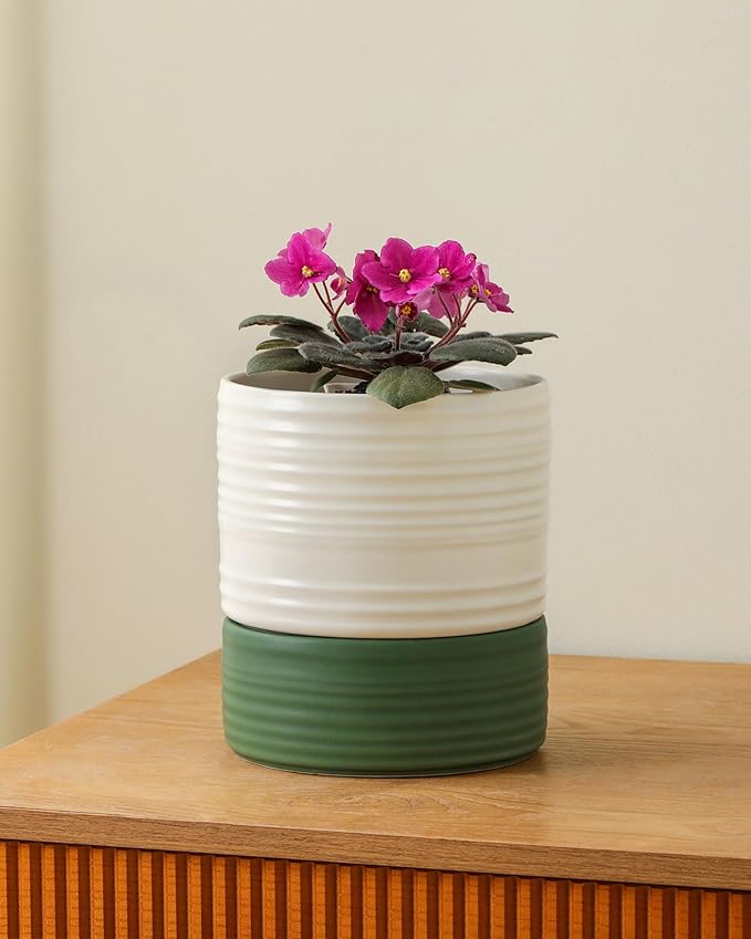 Self Watering Pots for Indoor Plants, 6 Inch Ceramic Self Watering Plant Pot, Planter Pot with Wick Rope and Drainage Hole for African Violet Succulent Herbs (White Matte)