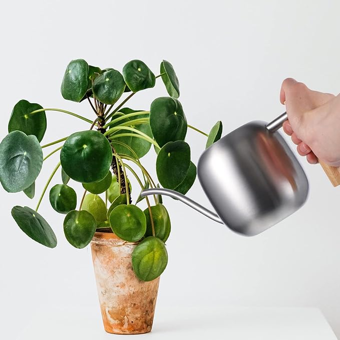 HANABASS 1200ml Long Spout Watering Can Indoor Plant Watering Can Metal Small for Indoor Plants (Silver)