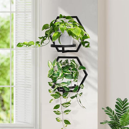 3 Packs Wall Planters for Indoor Plants, 7.9inch Metal Wall Plant Holder Hanger Wall Decor, Wall-Mounted Hanging Planters Window Plant Shelves Outdoor(Black)