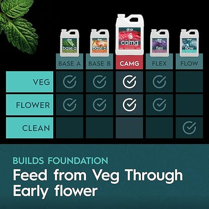 CaMg Quart | High-Concentration Calcium and Magnesium Supplement with Nitrogen and Iron | Essential Micronutrient Blend for Vigorous Plant Growth