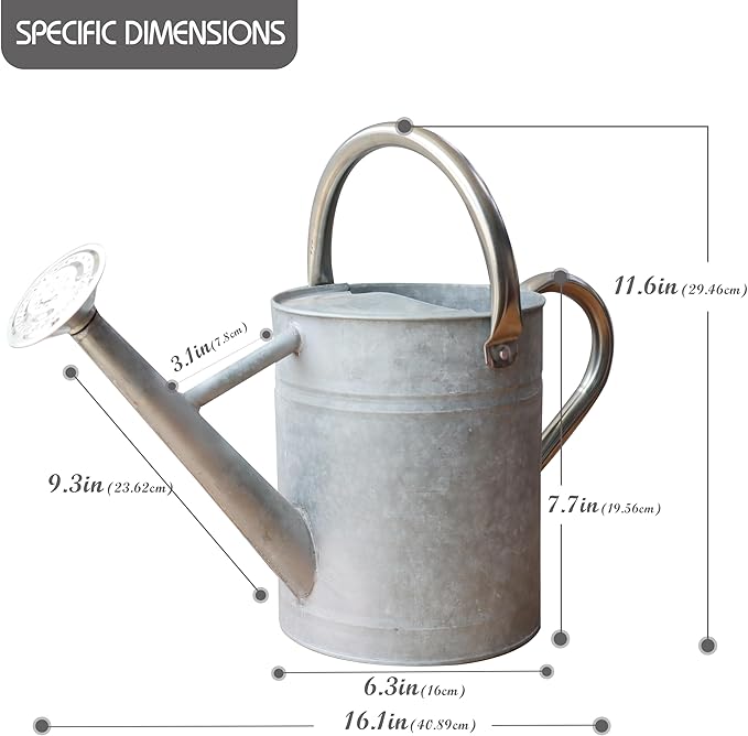 Metal Watering Can for Outdoor and Indoor Plants, Watering Can Decor, 1 Gallon (Zinc Stainless Steel Handle)