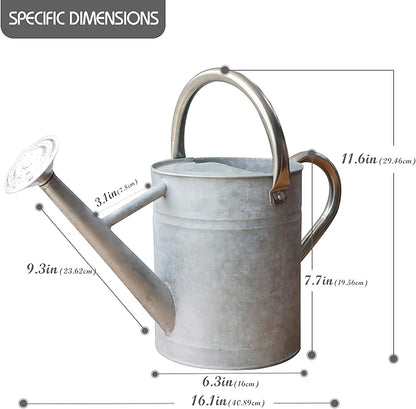 Metal Watering Can for Outdoor and Indoor Plants, Watering Can Decor, 1 Gallon (Zinc Stainless Steel Handle)