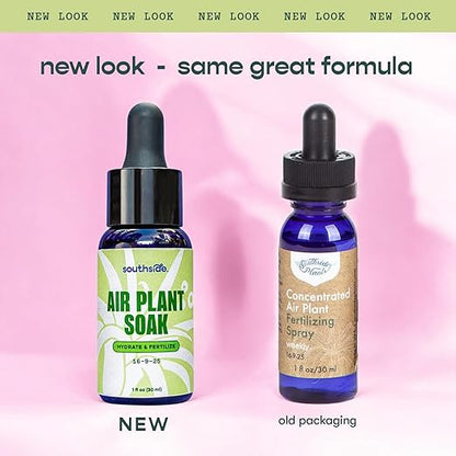 Air Plant Fertilizing Concentrated Soak by Southside Plants - Fertilizer Mist for Houseplants, Weekly Plant Food - Gentle Mist Formula for Miracle Feed & Grow - 1 oz