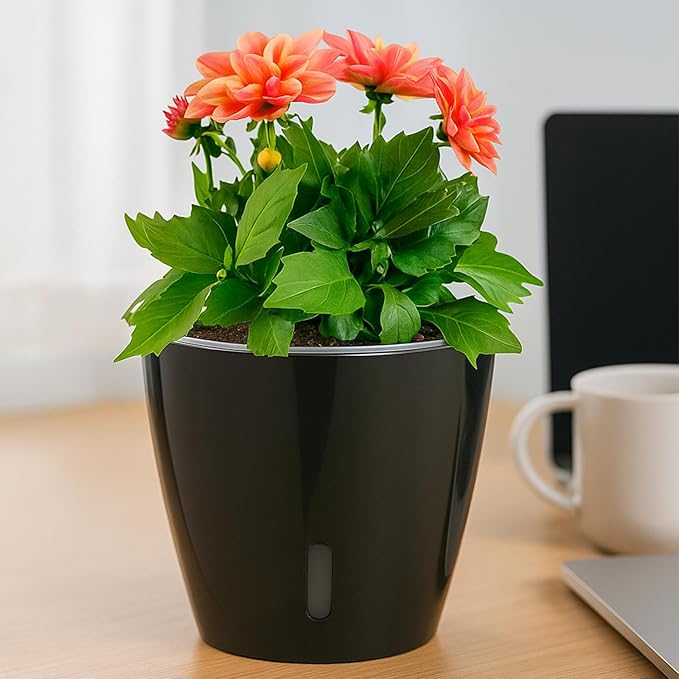 Self-Watering Pots for Indoor Plants, 6-Pack 6.7'' Self Watering Planter with Drainage Holes, Small African Violet Pots with Water Indicator, Clear Wick Pot, Black
